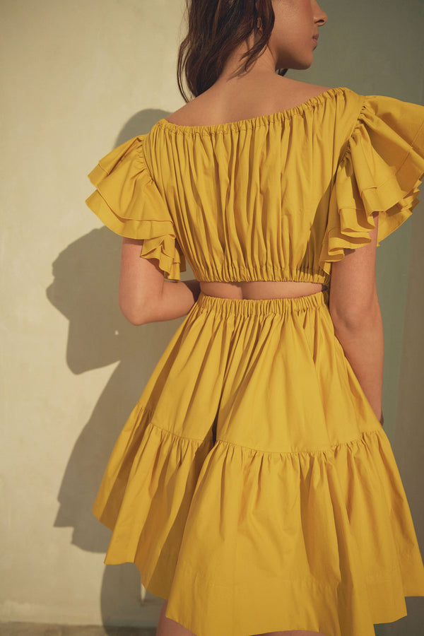 avavav mini ruffle dress Ava Ruched Mini Dress in Mimosa
